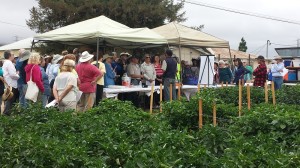 A Day With The Santa Clara County Master Gardeners Discover