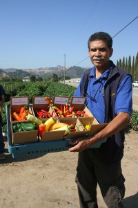 A Day With The Santa Clara County Master Gardeners Discover